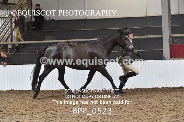 BPP_0523 - RING 1