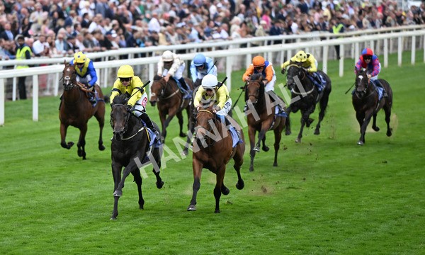 220825-102 Lifeplan - Race 3 3.00pm Al Basti Equiworld Dubai Gimcrack Stakes
