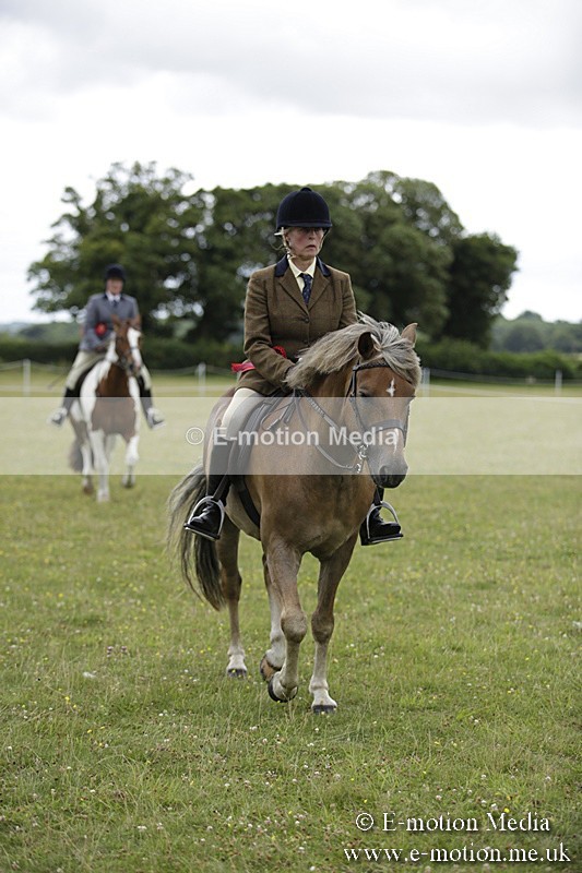 BVR160717-2117 - Ridden Championship 16/07/17