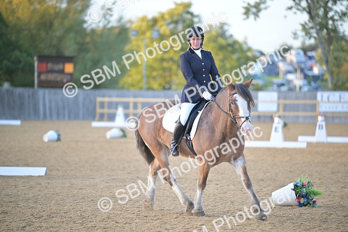 SBM_13536 - D3 - Small Tour Championship Intro 3