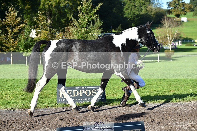 231022-104110-22663 - 438-KILCORBAN.MY.FAIR.LADY-Natasha.Crapper-TrotUp+SJ