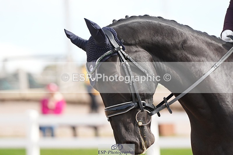 250906-120810-02111 - 064-Katie.MulvihillBilly.Romeo