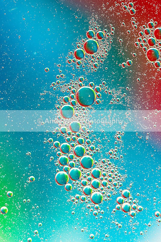 20140204-3K8A8689 - Oil & Water