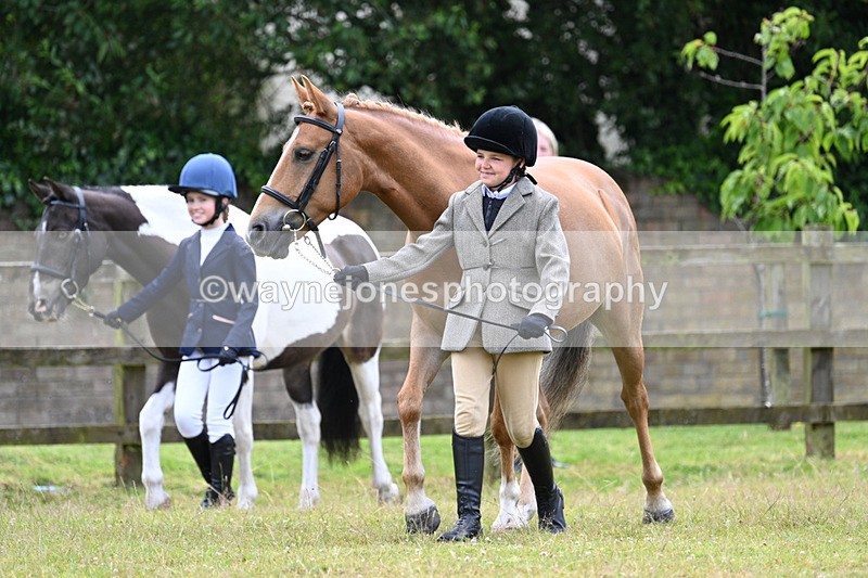 WJ7_6461 - Class 5 Handsome Gelding in hand