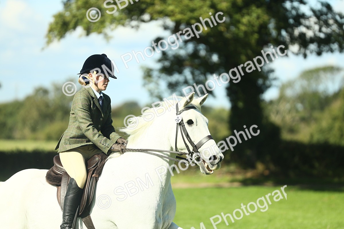 SBM_39181 - S29 - Novice & Newcomers Working Hunter Pony