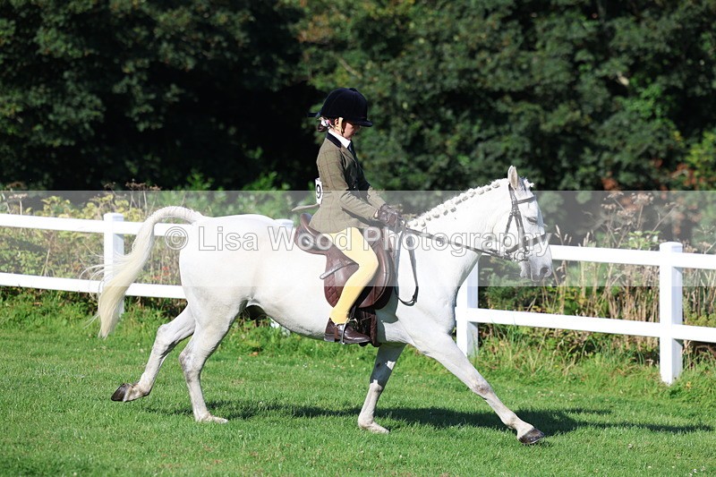 3E7A7595 - Class 1: Novice Working Hunter Pony