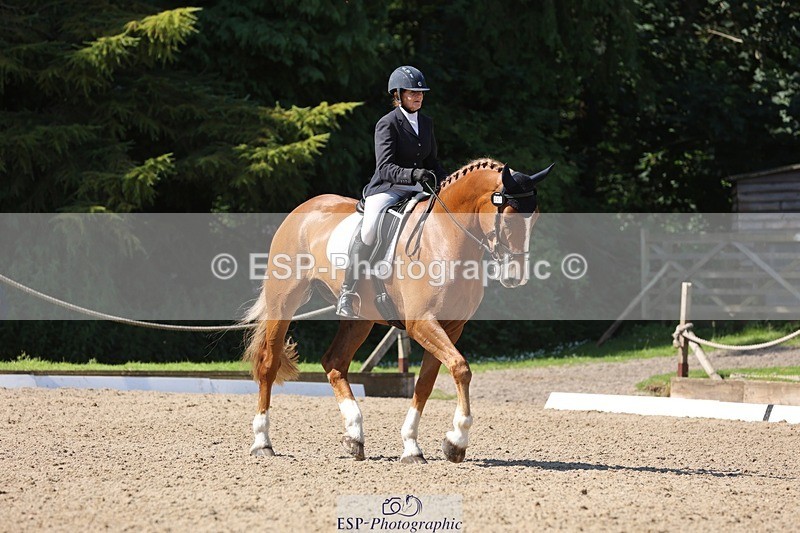 240719-103638-00742 - 223-Deborah_Randall-Sandy's_Bertie