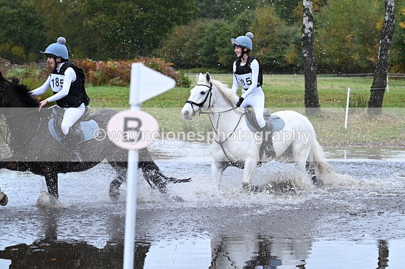 WJ7_2268 - 80cm Cam 2 Pairs Time 12:18 to 12:43