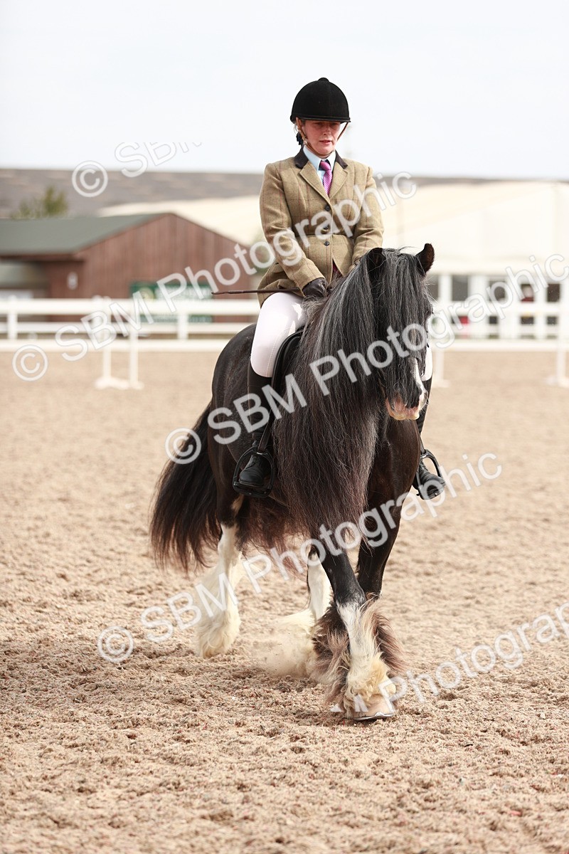SBM_16786 - Class 214 Ridden Cob