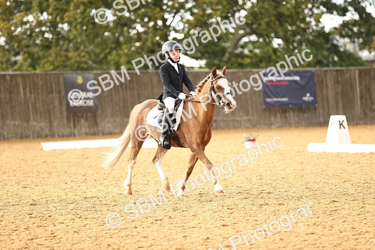 SBM_12039 - D9 Small Tour Championship Prelim 18