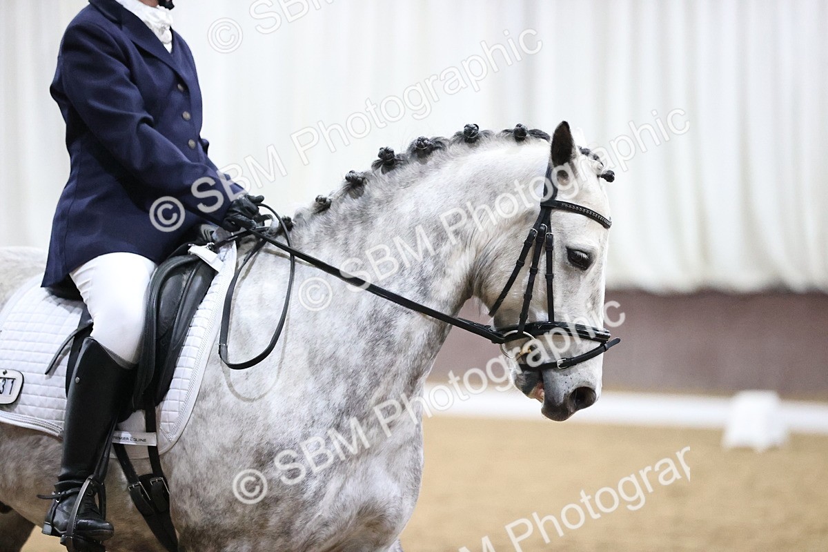 SBM_002410 - Class 11-5 - FSM Ele-Preli