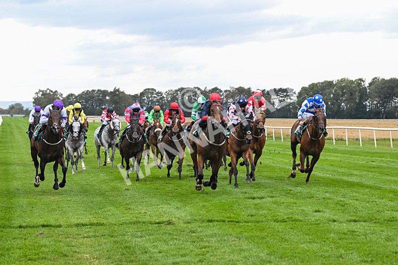 060925-Race 5-Eternal Sunshine-5872 - Race 5