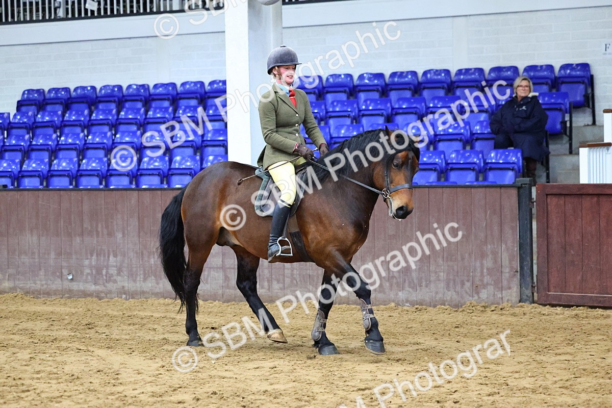 SBM_003608 - Class 37 - 80cm Training Stakes