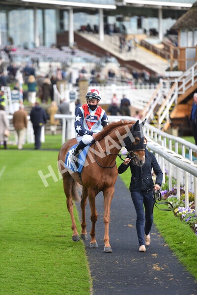 yr22052021r7-27 - Race 7 5.25pm Hudson Quarter York Palace Capital Stakes - Gentleman Amateur Riders Race