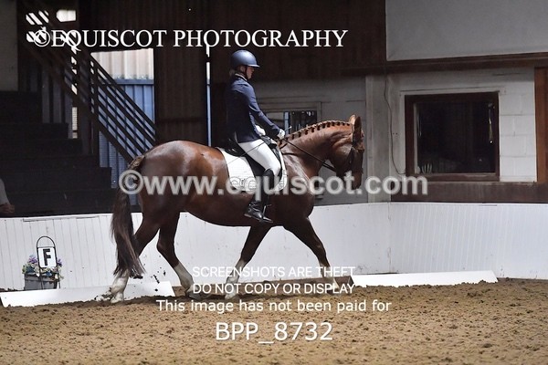BPP_8732 - NOVICE 6 BD