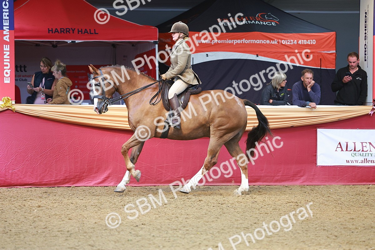 SBM_10633 - Class 103 - HOYS Veteran Qualifier - Ridden Pre Vet