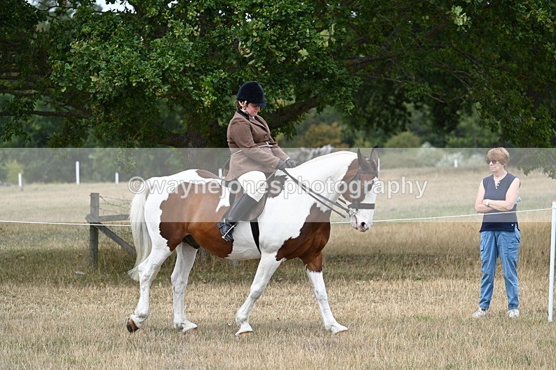 WJ7_4647 - Class 12 Ridden Cob