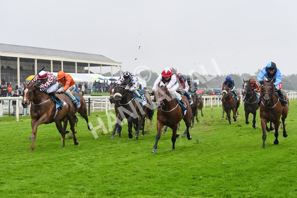 140723-Race 6-Copper Knight-0610 - Race 6 4.55pm Irish Thoroughbred Marketing Handicap