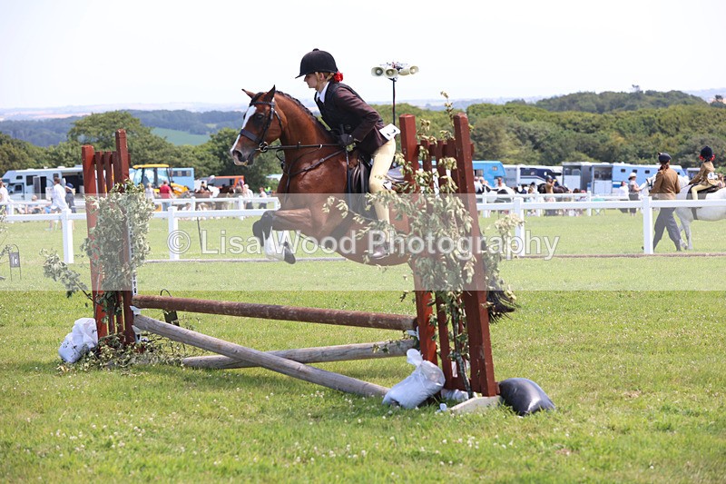 JPP_2636 - Class 21: Working Hunter 60cm