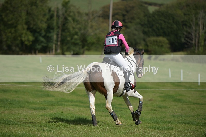 RAY_8638 - Class 2: Trekenning Open: Wall