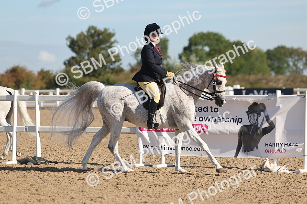 SBM_12266 - Class 303 - Ridden Pure Bred Horse Pony