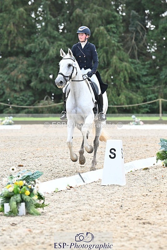 231019-123129-03125 - 114-LATINA'S.TWINKELING-Pippa.Haslam-DR