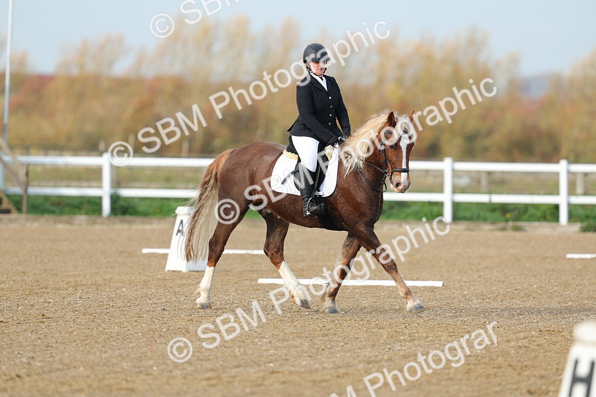 SBM_003081 - Class 2 - Intro 3