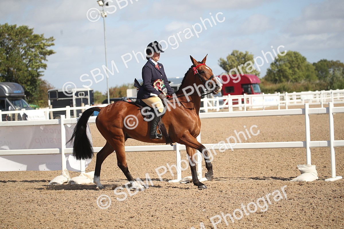 SBM_22892 - Class 602 - 2026 Area - Ridden Veteran
