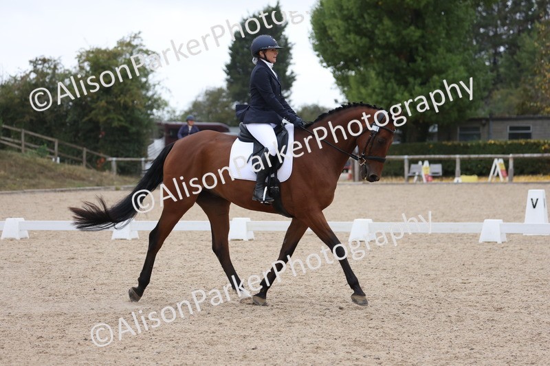 20250820-0364 - Class 11 - My Quest Novice 3