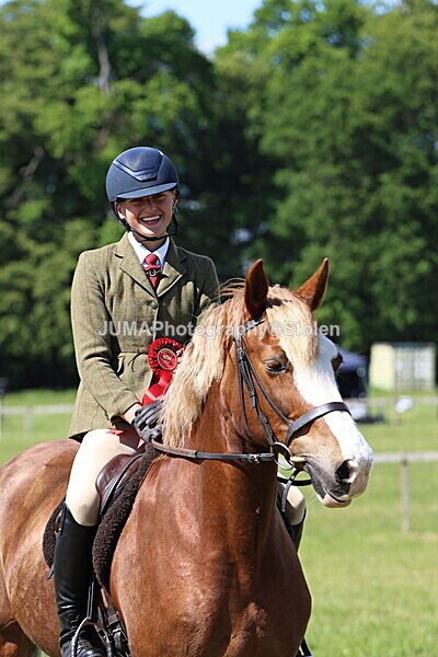IMG_4437 - Working Hunter