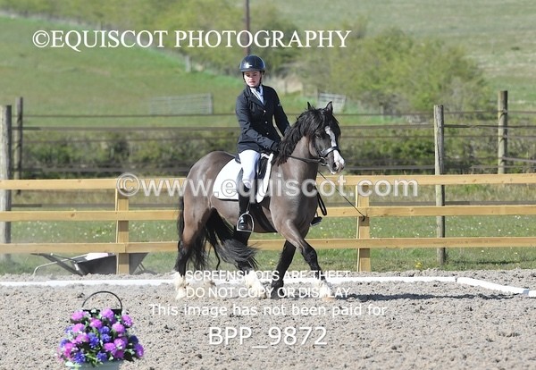 BPP_9872 - TEAM QUEST PRELIM 3
