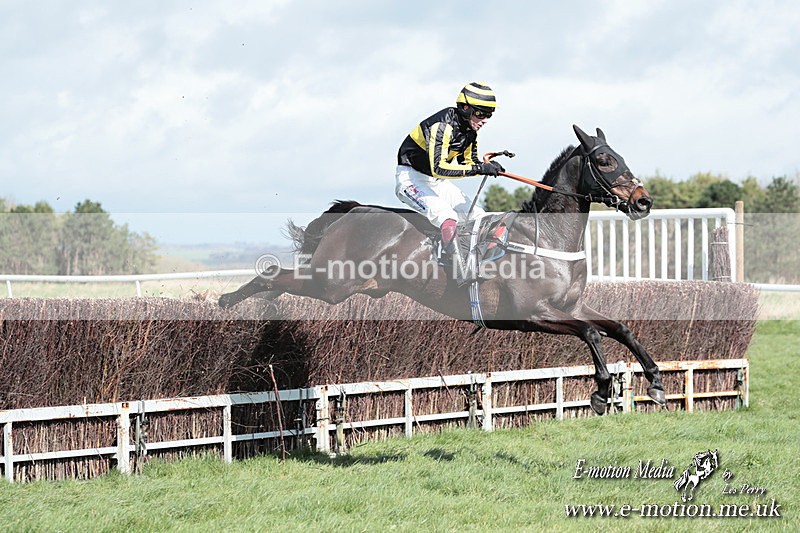 PtP 230324 280 - Tedworth Hunt PtP Larkhill Raccourse 23rd March 2024