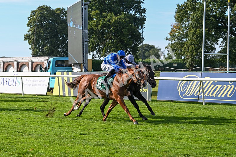 160924-Race 4-Watching Stars-2883 - Race 4