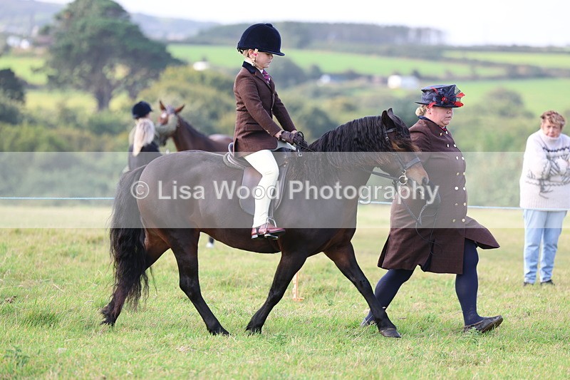 3E7A3401 - Class 2: Lead rein