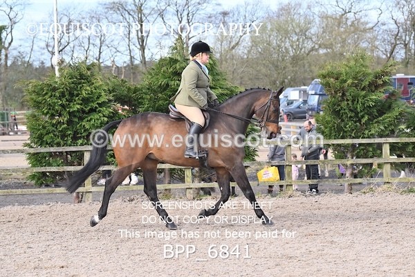 BPP_6841 - RING 1  (RIDDEN HORSES / IN HAND / VETERAN ETC)