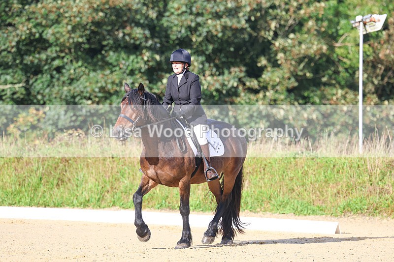 3E7A1835 - Class 1: Intro 4 2024 section A