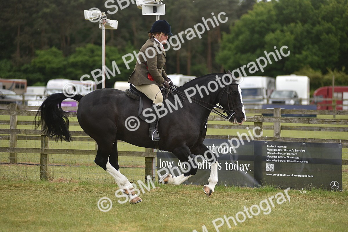 SBM_18250 - Class 122-123 - LIHS BHSA Raising Star Style and Performance Series