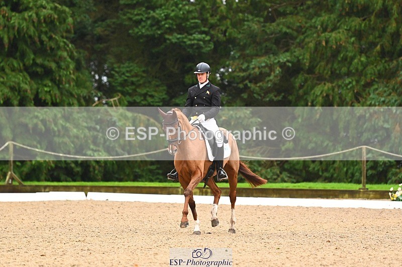 231021-104017-14495 - 231-ROUGE.ANGEL-Fred.Scala-DR