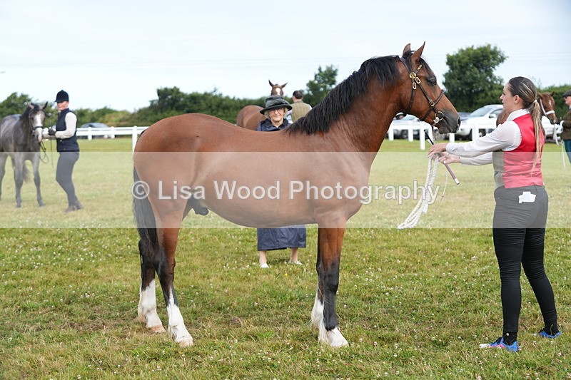 DSC04760 - Class 47: NPS M&M Yearling