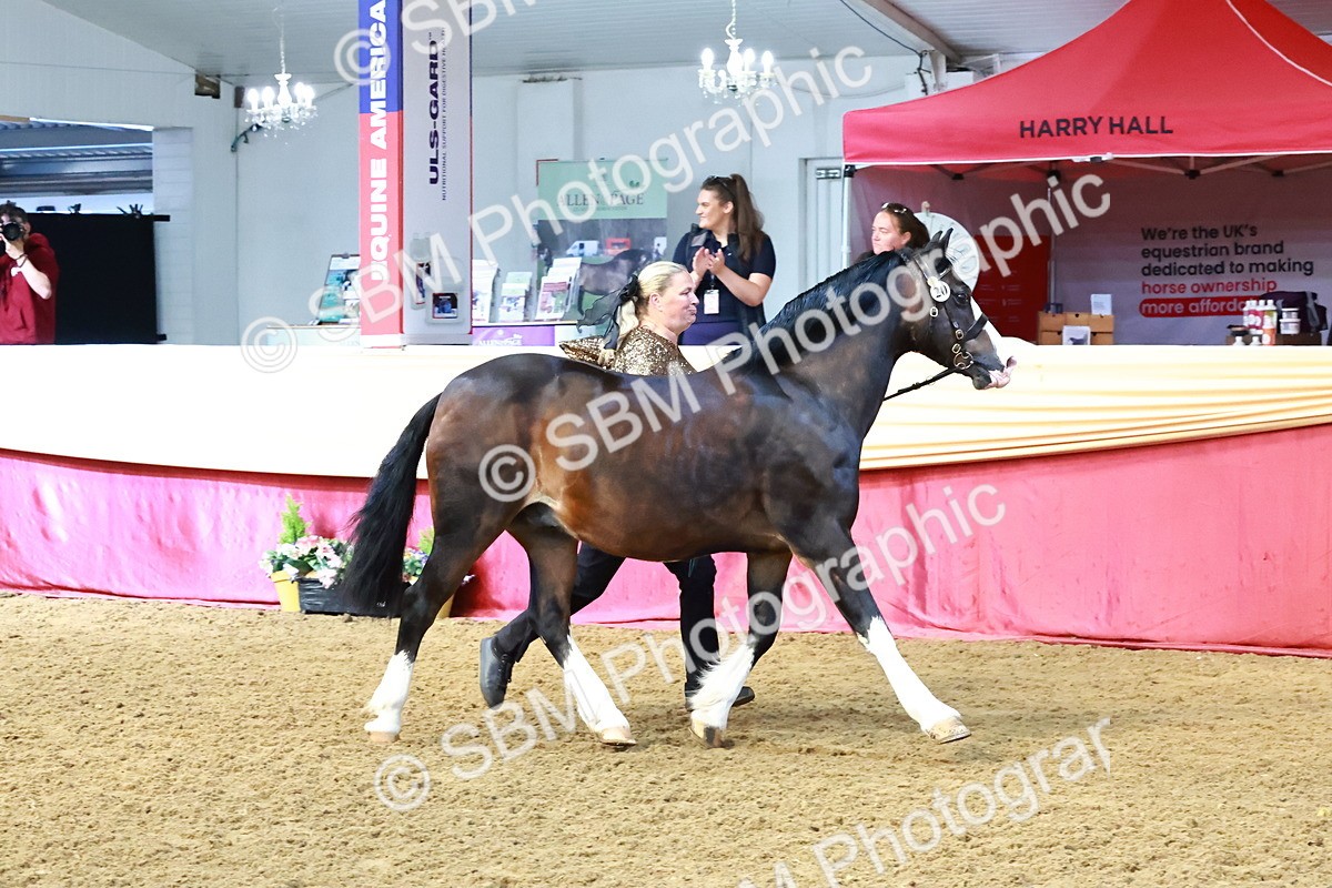 SBM_22444 - Class 902 - Supreme Final - IH Diamond