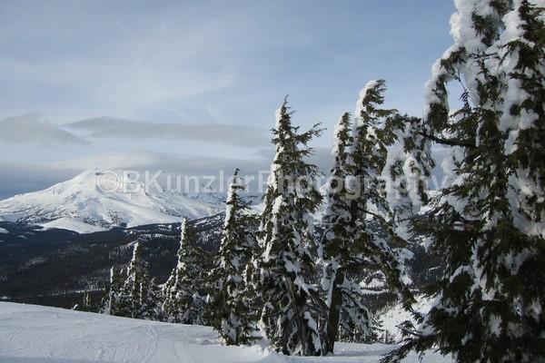  - Oregon