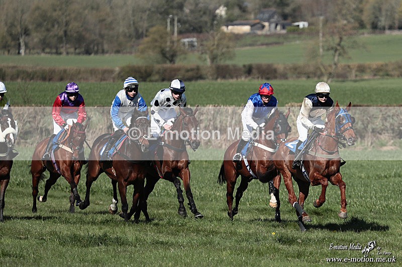 PtP 210326 331 - VWH Cirencester Races 21/03/26