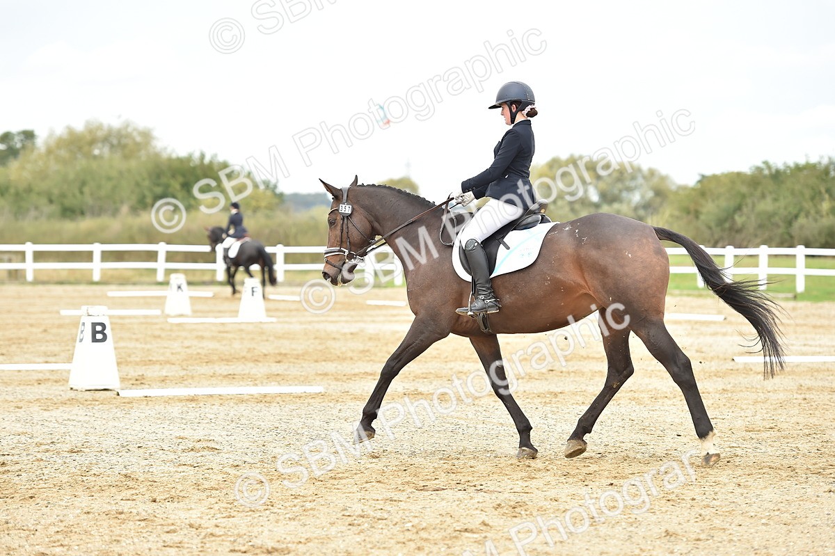 SBM_002478 - Novice 1