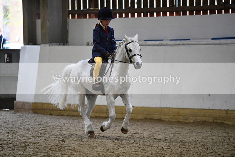 WJ5_7201 - Class 11 Ridden PC - RC Pony