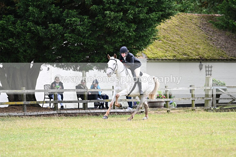 WJ7_8848 - Class 7  Riding Club Show Horse