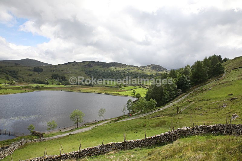 356A9582 - Lake District June 2017
