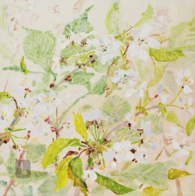 Wild Cherry - Summer Light