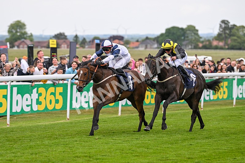 240525-Race 2-Argentine Tango-0274 - Race 2