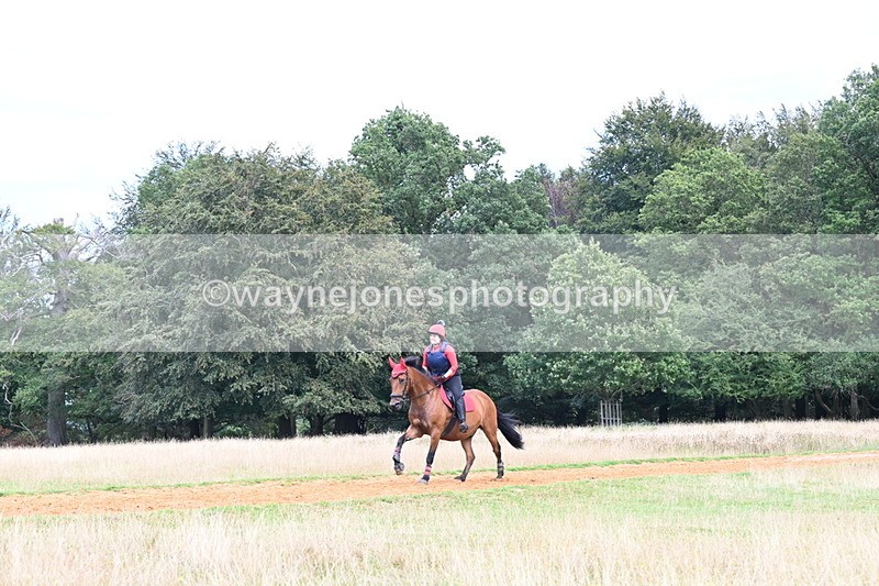 DSC_8866 - Time at Statue 14:33 to 15:10