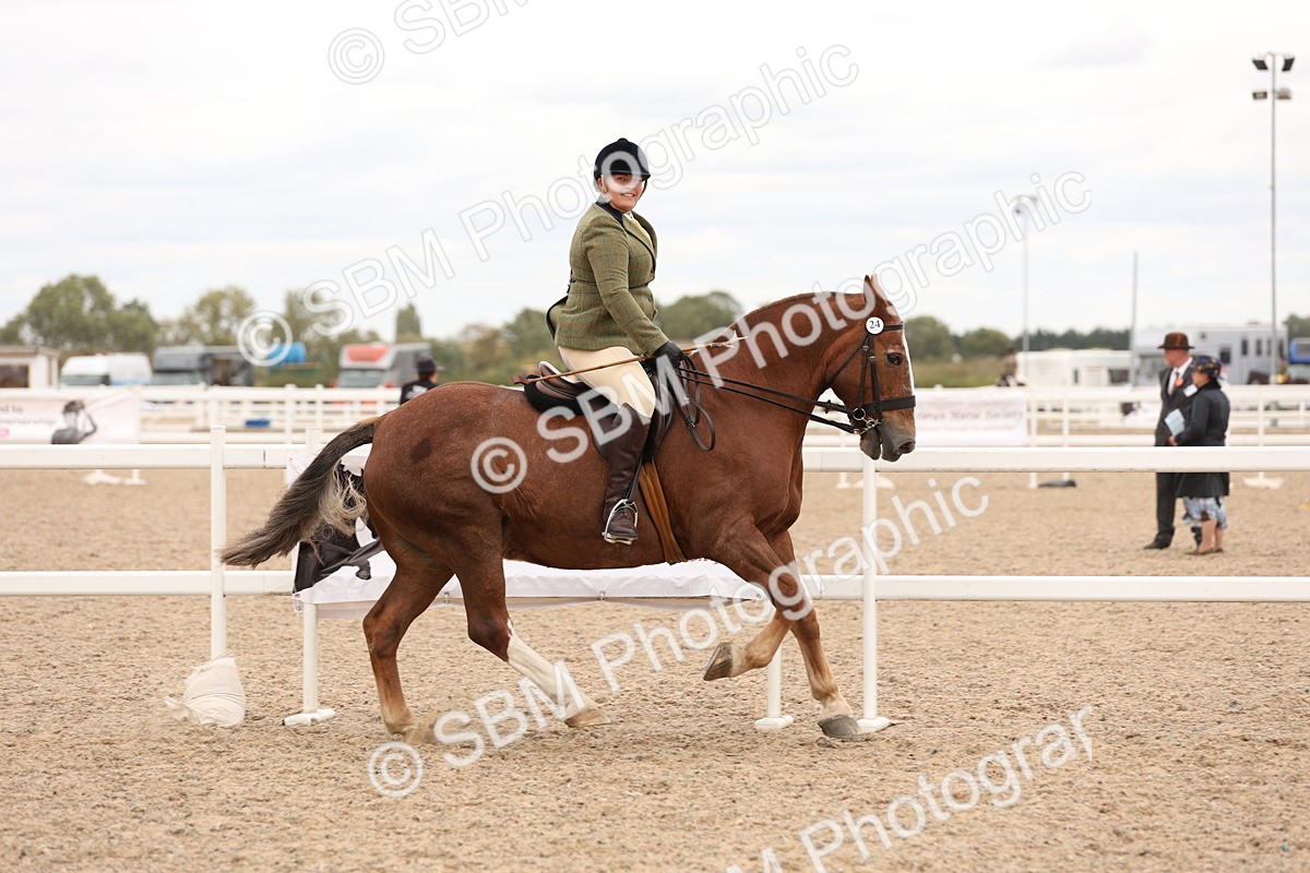 SBM_19551 - Class 215 - Ridden Show cob